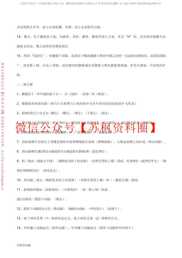局部解剖学